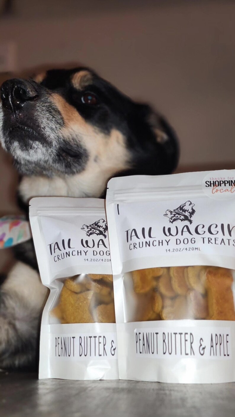 Pawsitively Irresistible Peanut Butter and Apple Dog Treats Etsy