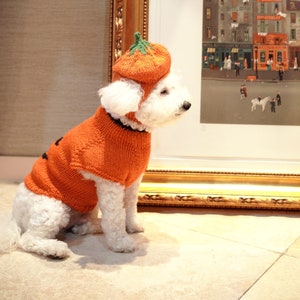 Halloween Specials! Sweater & Hat / knitting pattern