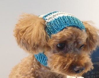 Beanie Pattern/Dog Sweater Pattern/knitting pattern for dog/Dog knitting pattern/Pattern for dogs/Sweater patter/Dog knit/Dog knits