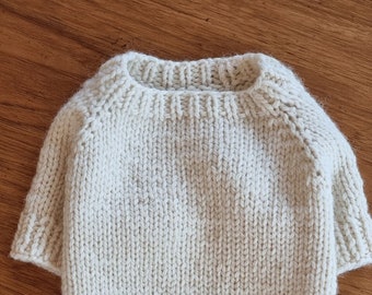 Basic Crew Neck Sweater / knitting pattern