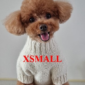 Könnte beinhalten: Ein kleiner, brauner Hund, der einen cremefarbenen Strickpullover trägt. Der Pullover hat einen gerippten Kragen und das Wort "XSMALL" in roten Buchstaben auf der Vorderseite. Der Hund hat einen fröhlichen Gesichtsausdruck mit herausgestreckter Zunge.