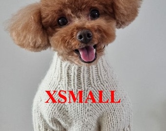 May include: A small, brown dog wearing a cream-colored, knitted sweater. The sweater has a ribbed collar and the word "XSMALL" in red letters across the front. The dog has a happy expression with its tongue out.