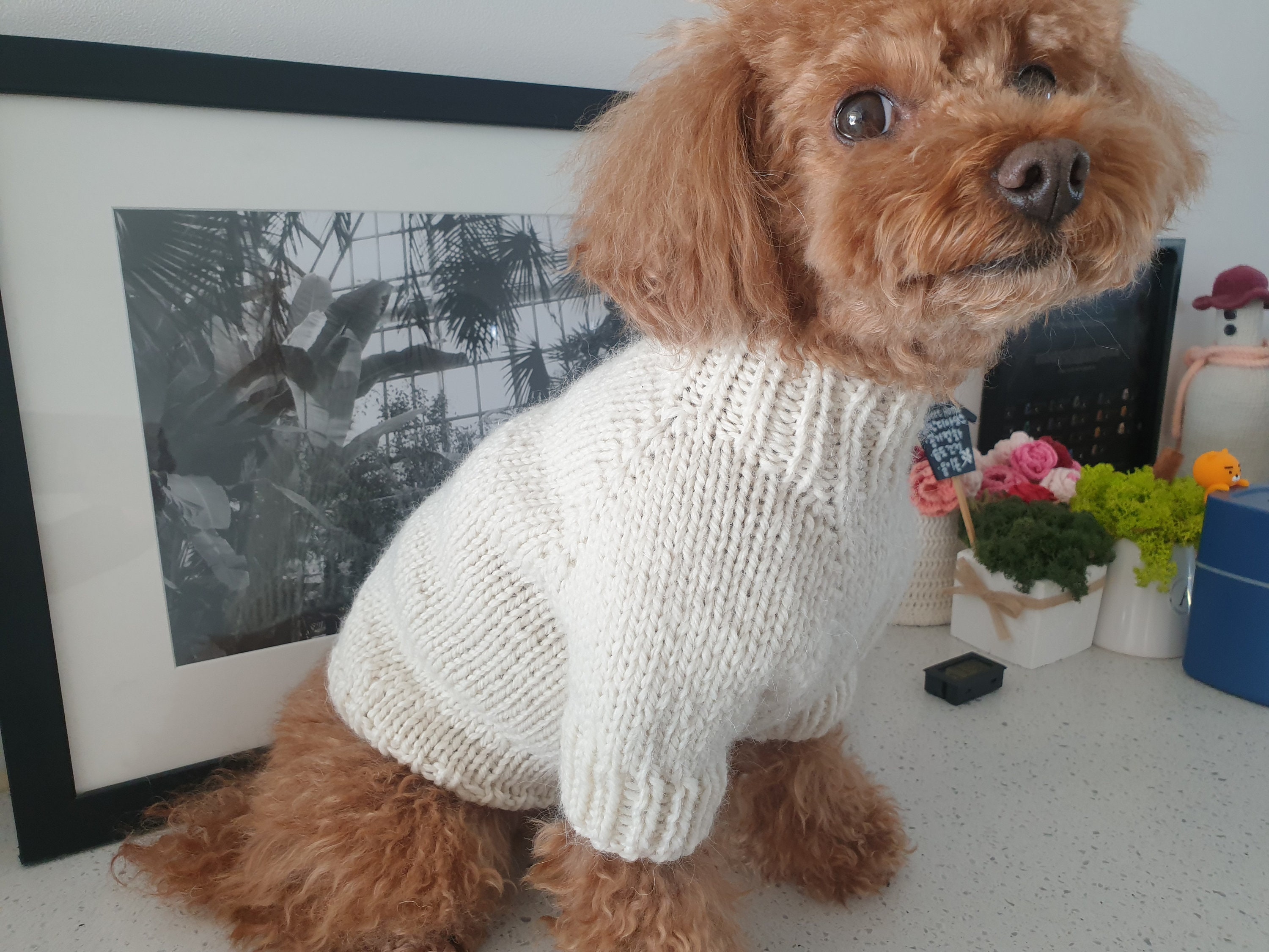Basic Turtleneck Sweater / Dog Sweater Pattern/dog knit/dog | Etsy