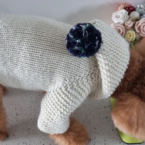 May include: Cream-colored knitted dog sweater with a dark blue pom-pom detail. The sweater is designed to fit a dog's body, covering the back and part of the legs. The dog's fur is visible around the edges of the sweater.