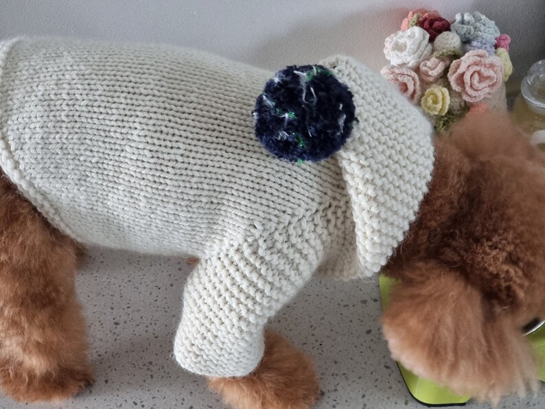 May include: Cream-colored knitted dog sweater with a dark blue pom-pom detail. The sweater is designed to fit a dog's body, covering the back and part of the legs. The dog's fur is visible around the edges of the sweater.
