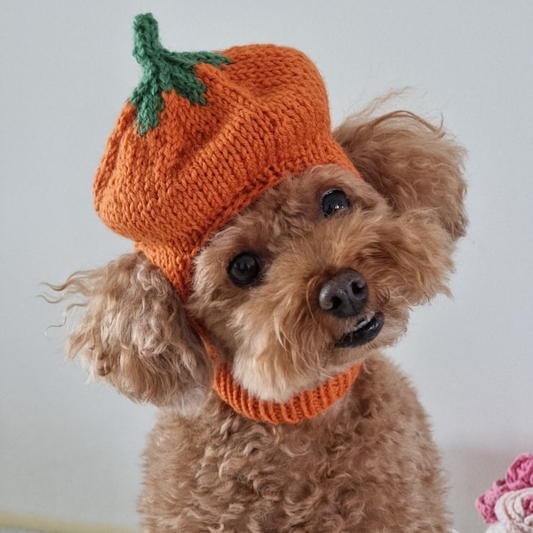 Pumpkin Hat/Pumpkin Beanie/Halloween costume/Halloween Hat