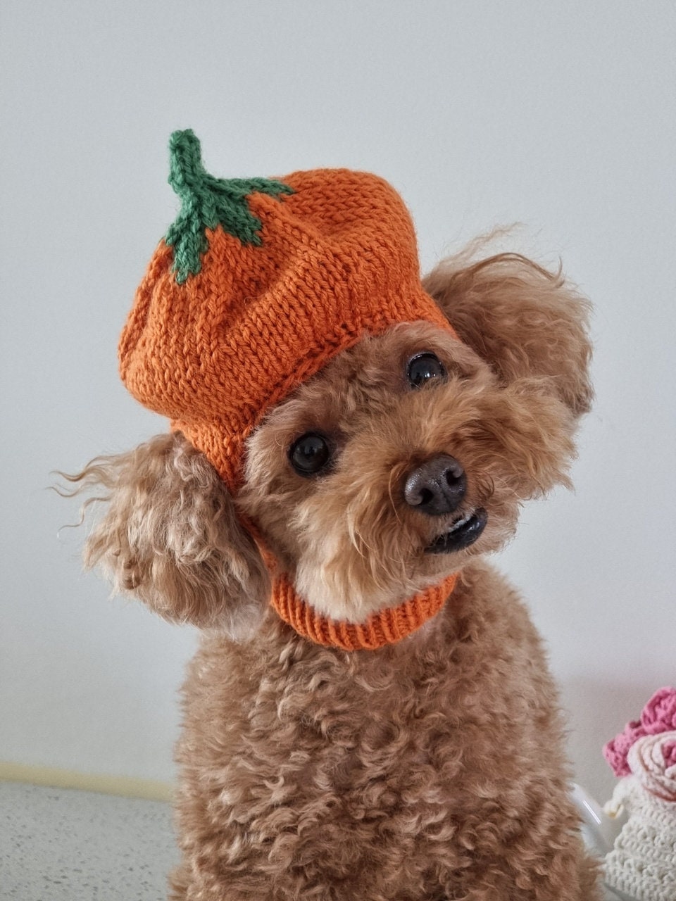 Pumpkin Hat Knitting Pattern Etsy