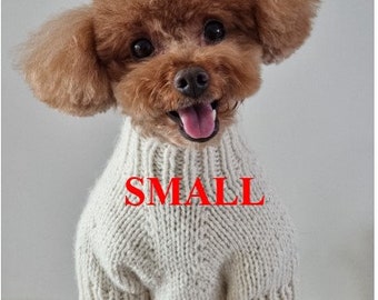 May include: A brown toy poodle wearing a cream-colored knitted sweater. The word "SMALL" is printed in red on the sweater. The dog has a happy expression with its tongue sticking out.