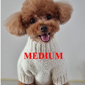 May include: A brown dog wearing a cream-colored, knitted turtleneck sweater. The word "MEDIUM" is printed in red across the sweater. The dog has a happy expression with its tongue out.