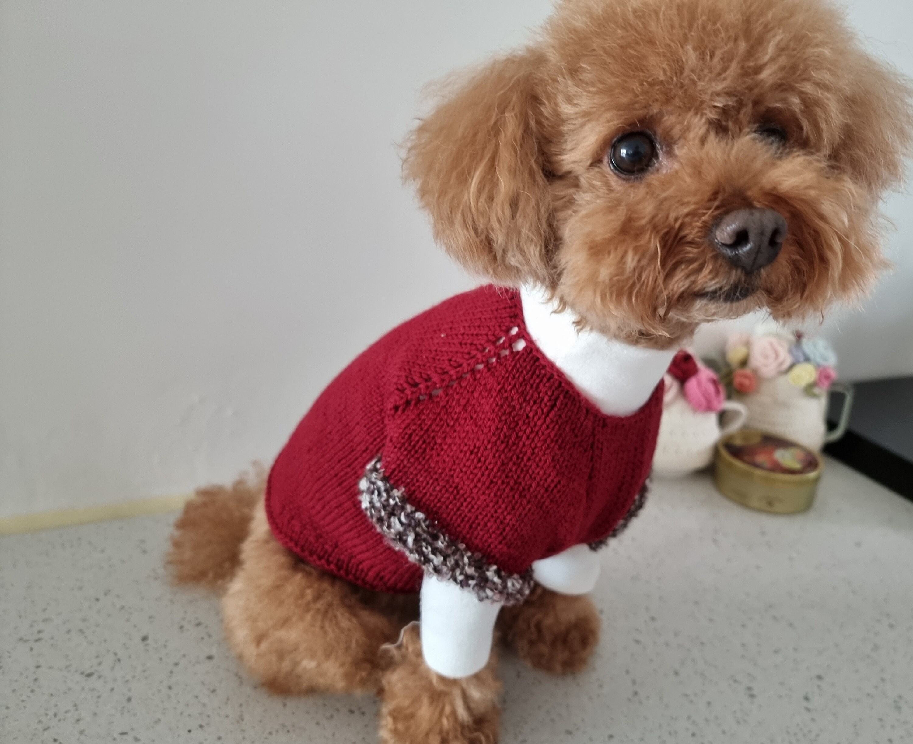 Crimson Sweatshirt/dog Sweater Pattern/dog Sweater Etsy