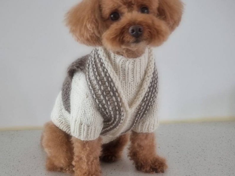 Brown Vest/knitting Pattern for Dog/dog Knitting Etsy