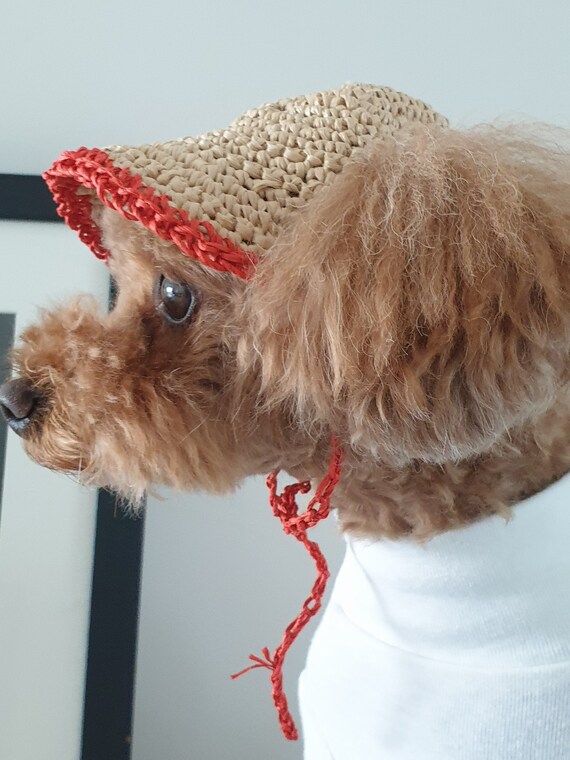 Sun Hat/dog Hat/dog Hat Pattern/summer 