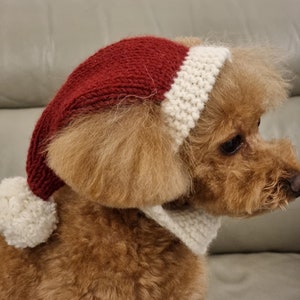 May include: A brown poodle wearing a knitted Santa hat with a white trim and pom-pom. The dog also wears a matching white knitted scarf. The hat and scarf are festive and cosy, perfect for the holiday season.
