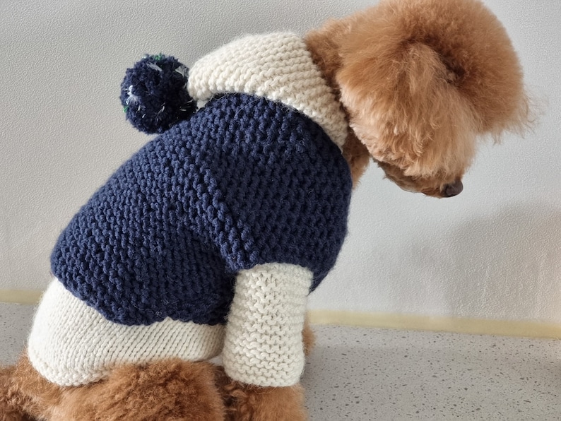 May include: A navy blue and cream-colored knitted dog sweater with a pom-pom on the hood. The sweater has a textured knit pattern and is designed to fit a small dog. The dog is a light brown color.