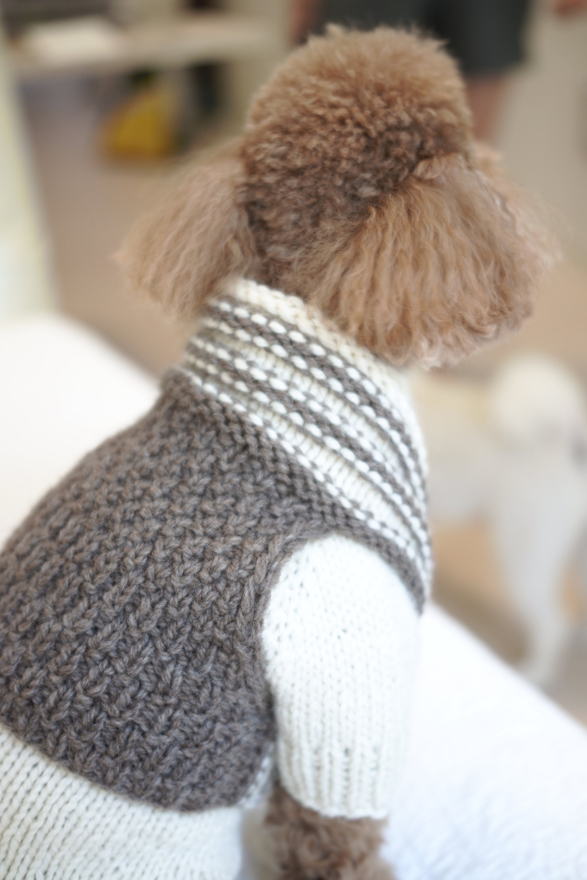 Brown Vest/knitting pattern for dog/Dog knitting Etsy