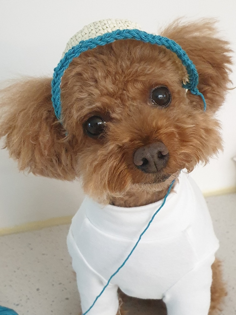 Sun Hat/dog Hat/dog Hat Pattern/summer Hat/dog Knits/dog Etsy