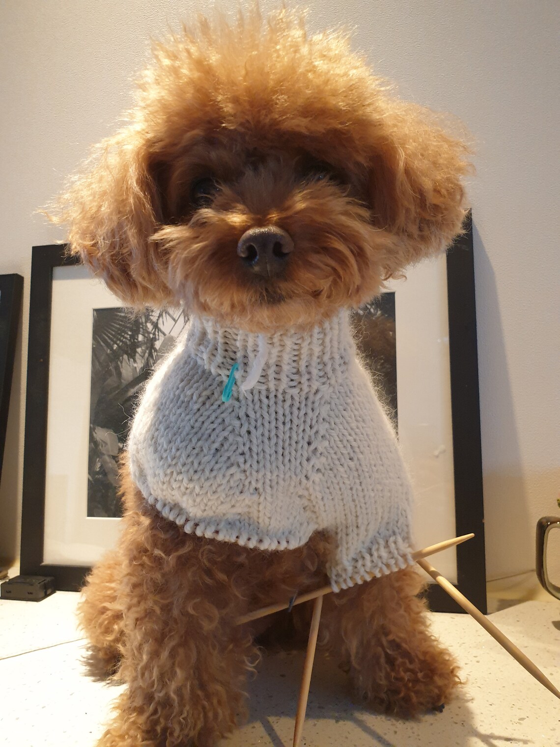 Basic Turtleneck Sweater / Dog Sweater Pattern/dog knit/dog Etsy