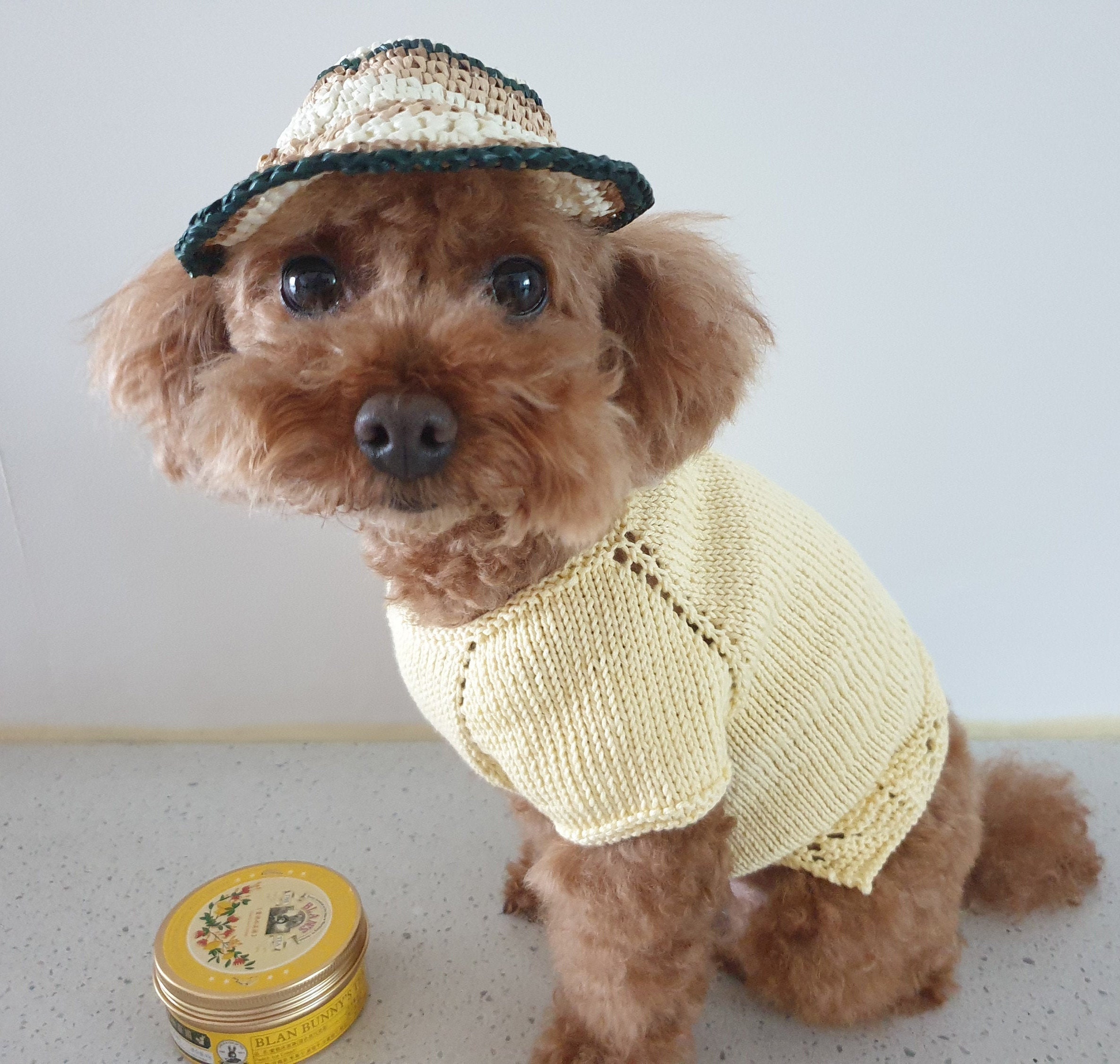 Summer Time Frilled One Piece dog Knits dog Sweater Etsy