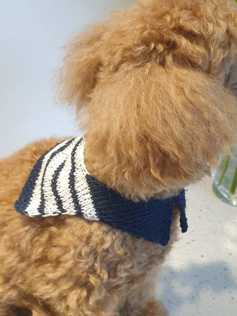 Cape Collar/Dog Knit/Dog knits/Dog knitting pattern/dog sweater pattern/Sweater patter/knitting pattern image 3
