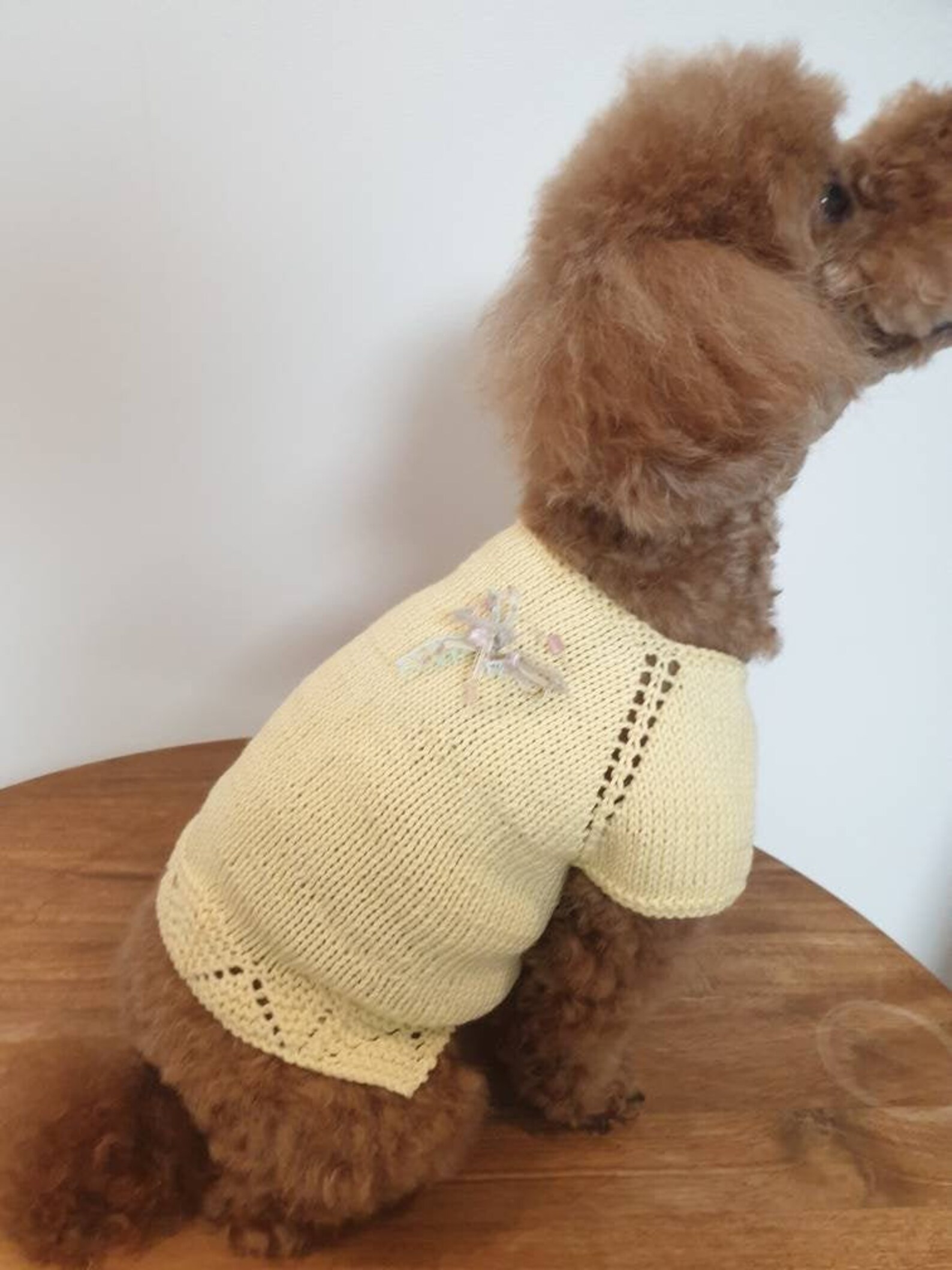 Summer Time Frilled One Piece dog Knits dog Sweater Etsy