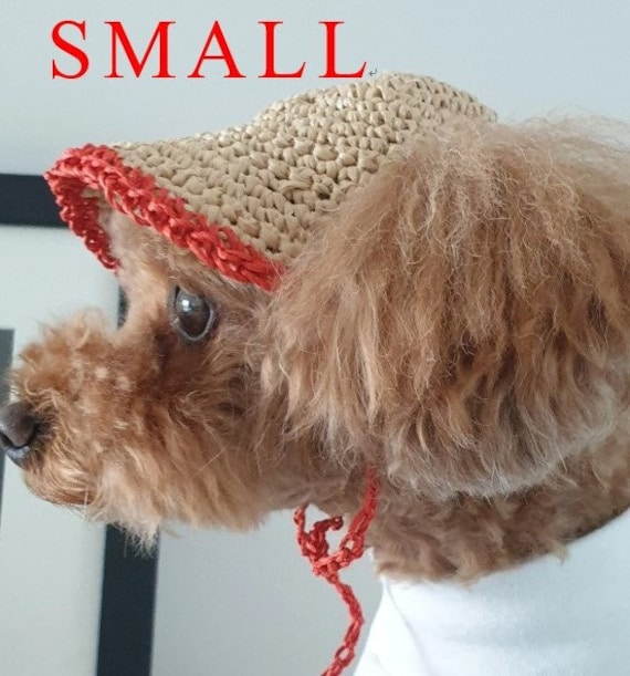 Dog sun hat hotsell