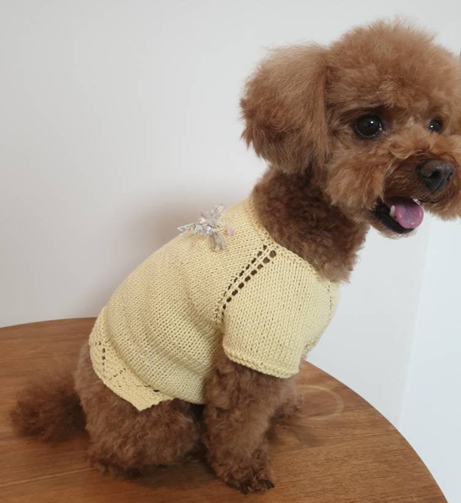 Summer Time Frilled One Piece dog Knits dog Sweater Etsy