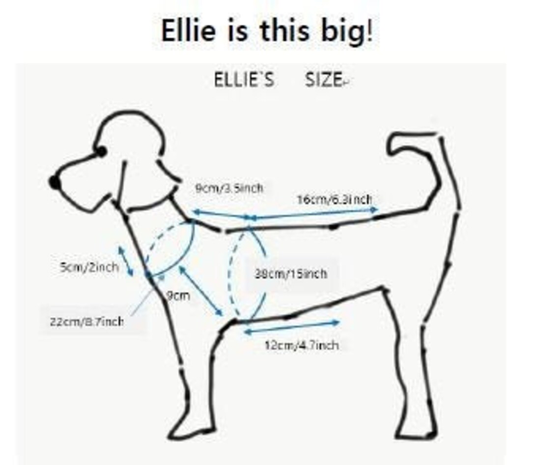 Brown Vest/knitting pattern for dog/Dog knitting Etsy