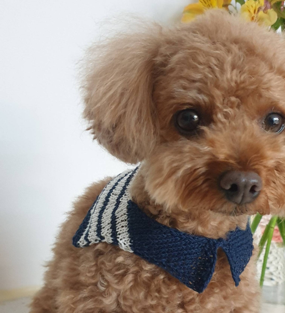 Cape Collar/dog Knit/dog Knits/dog Knitting Pattern/dog Sweater Pattern