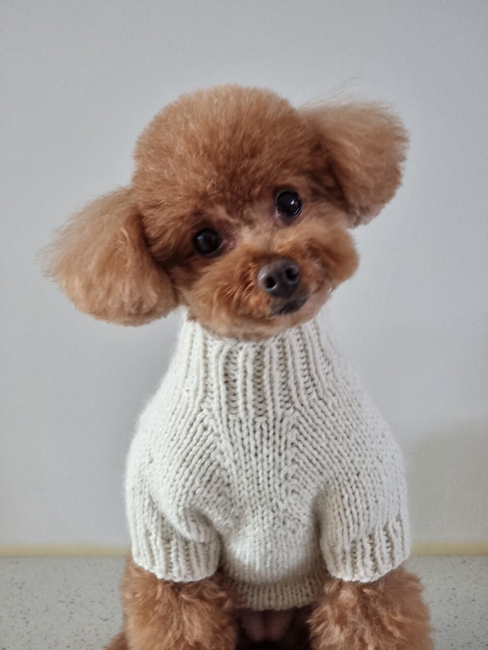 Basic Turtleneck Sweater / Dog Sweater Pattern/dog Knit/dog | Etsy