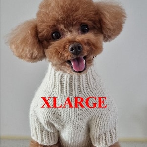 Könnte beinhalten: Ein brauner Hund trägt einen cremefarbenen Strickpullover mit dem Wort "XLARGE" in roten Buchstaben. Der Hund hat die Zunge draußen.