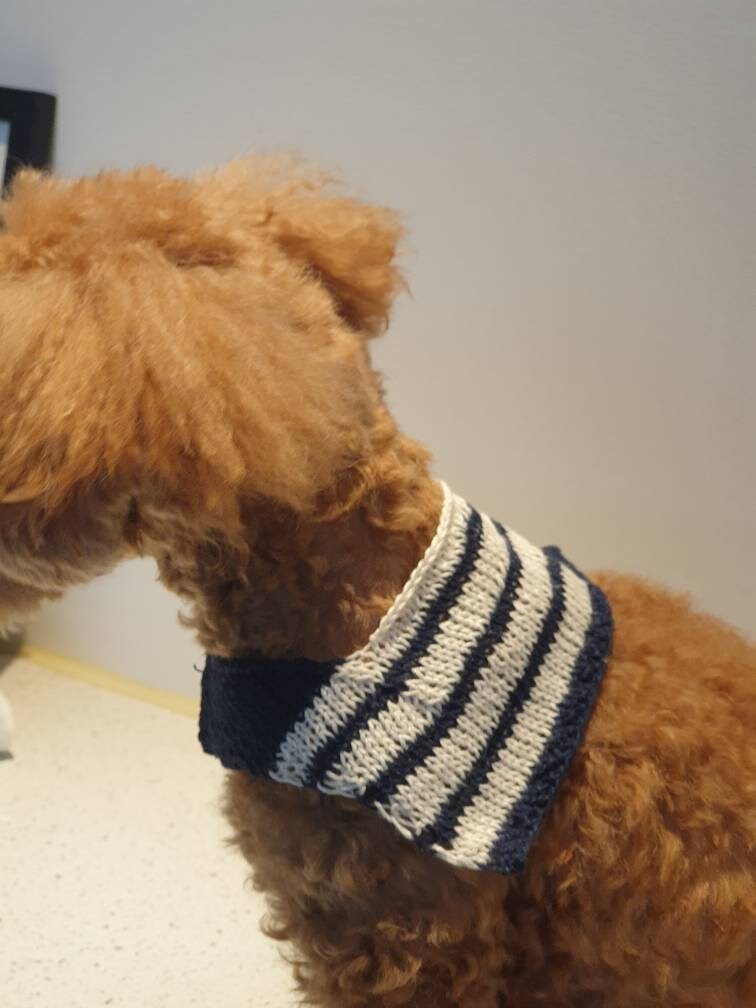 Cape Collar/dog Knit/dog Knits/dog Knitting Pattern/dog Etsy