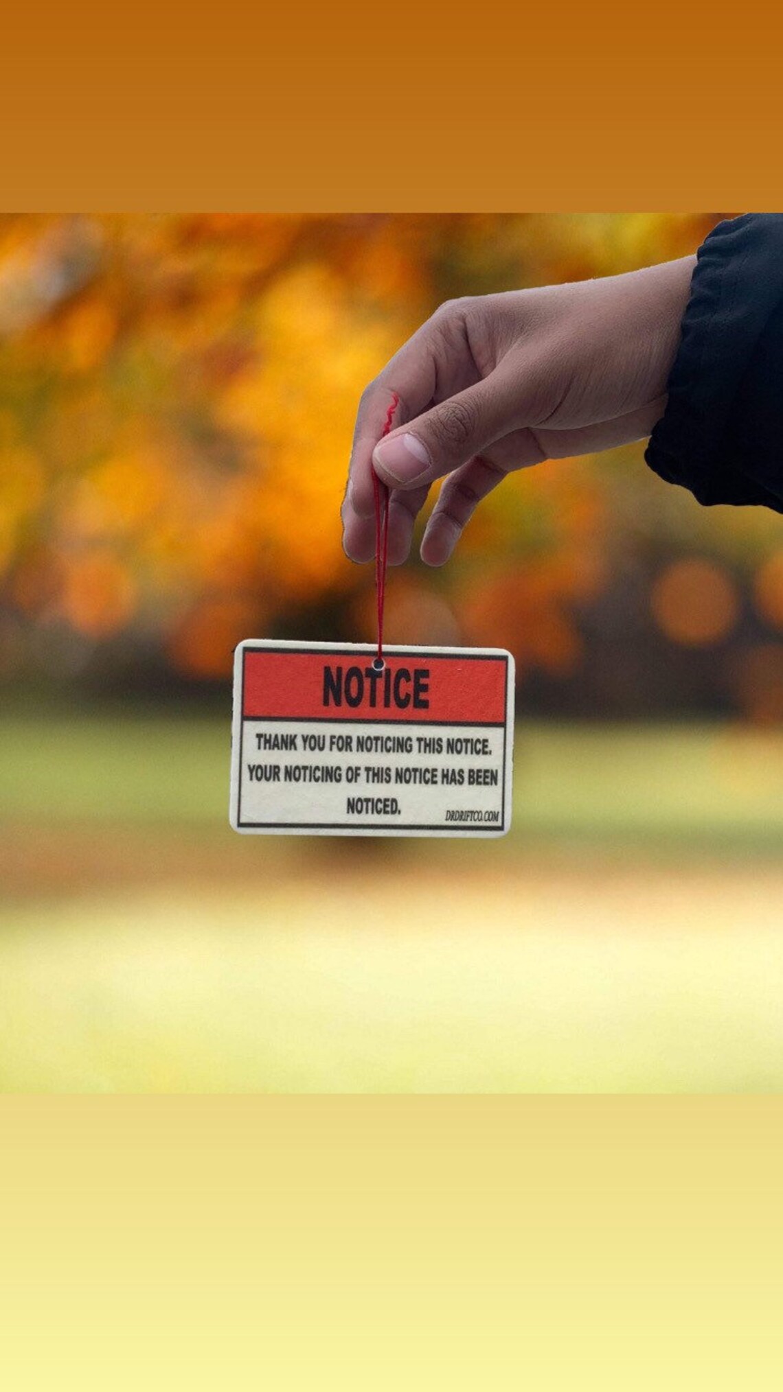 New Funny Air Fresheners & 20 JDM Car Racing Drifting custom Etsy