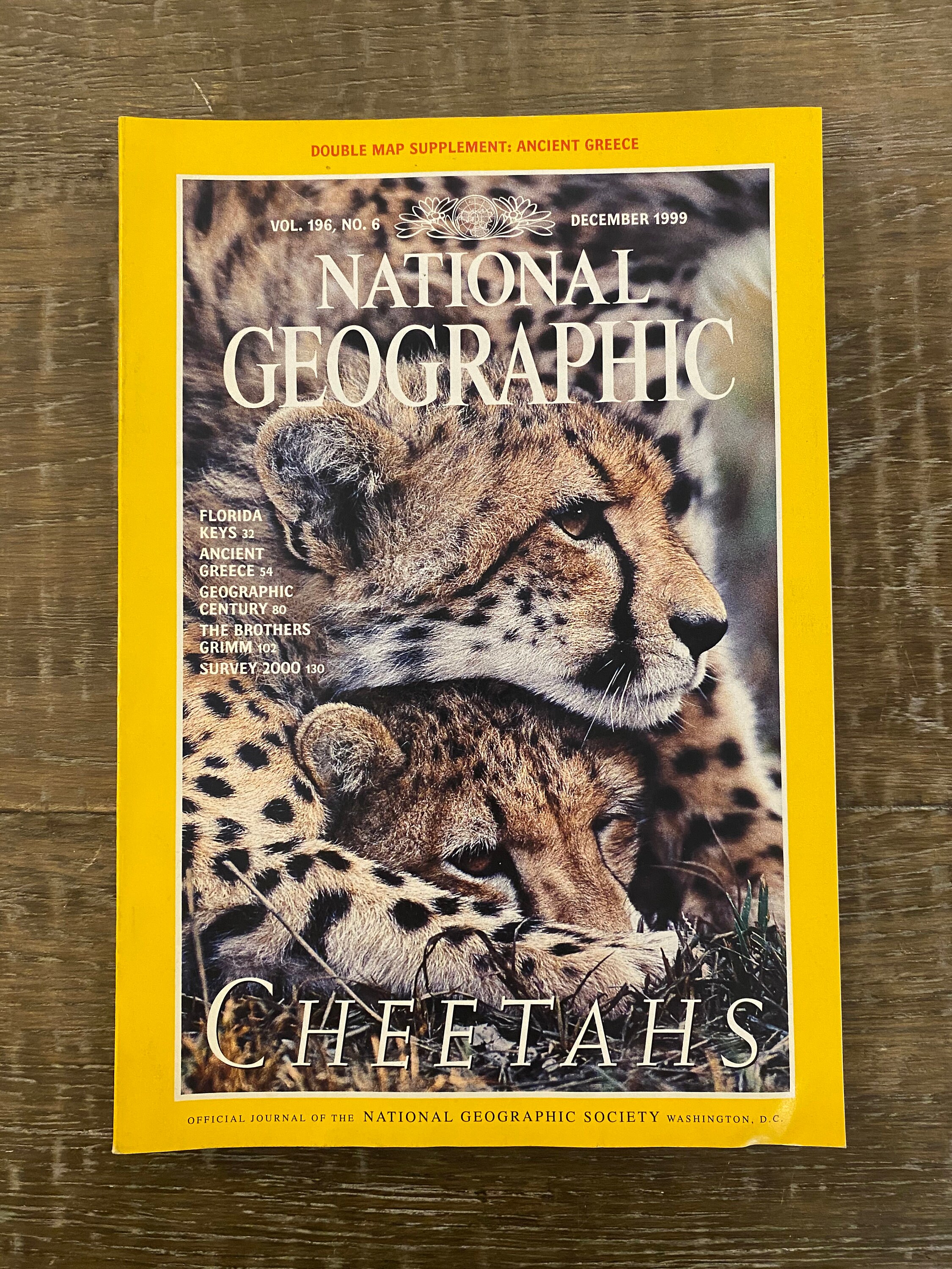 5 Nat Geo Big Cats Themed Covers | Etsy