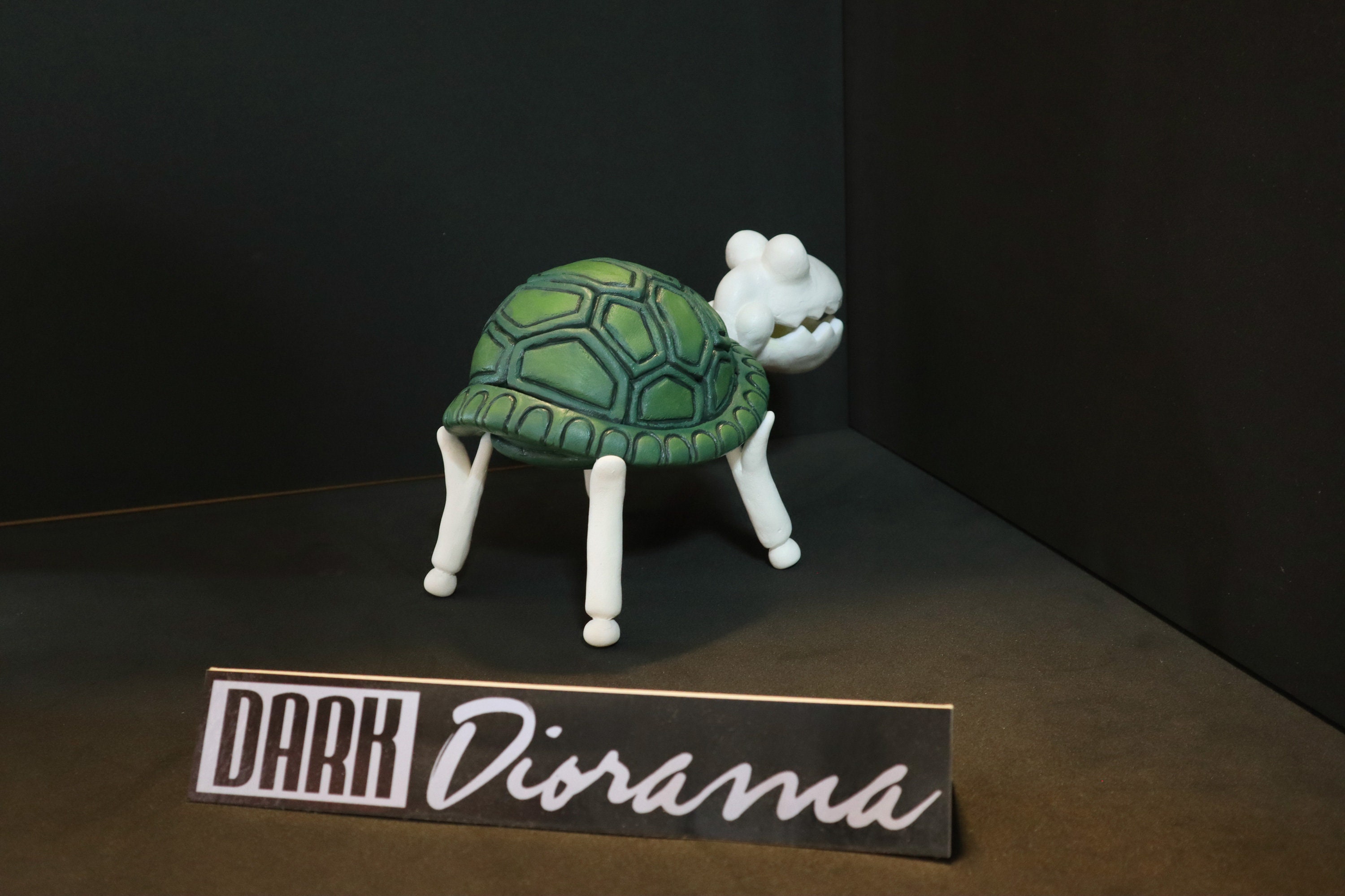 Amazon.com: TURTLE SKELETON : Home & Kitchen