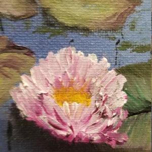 Water Lilies image 5