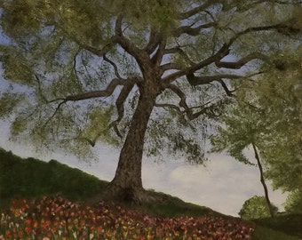 Field of Tulips Under a Tree