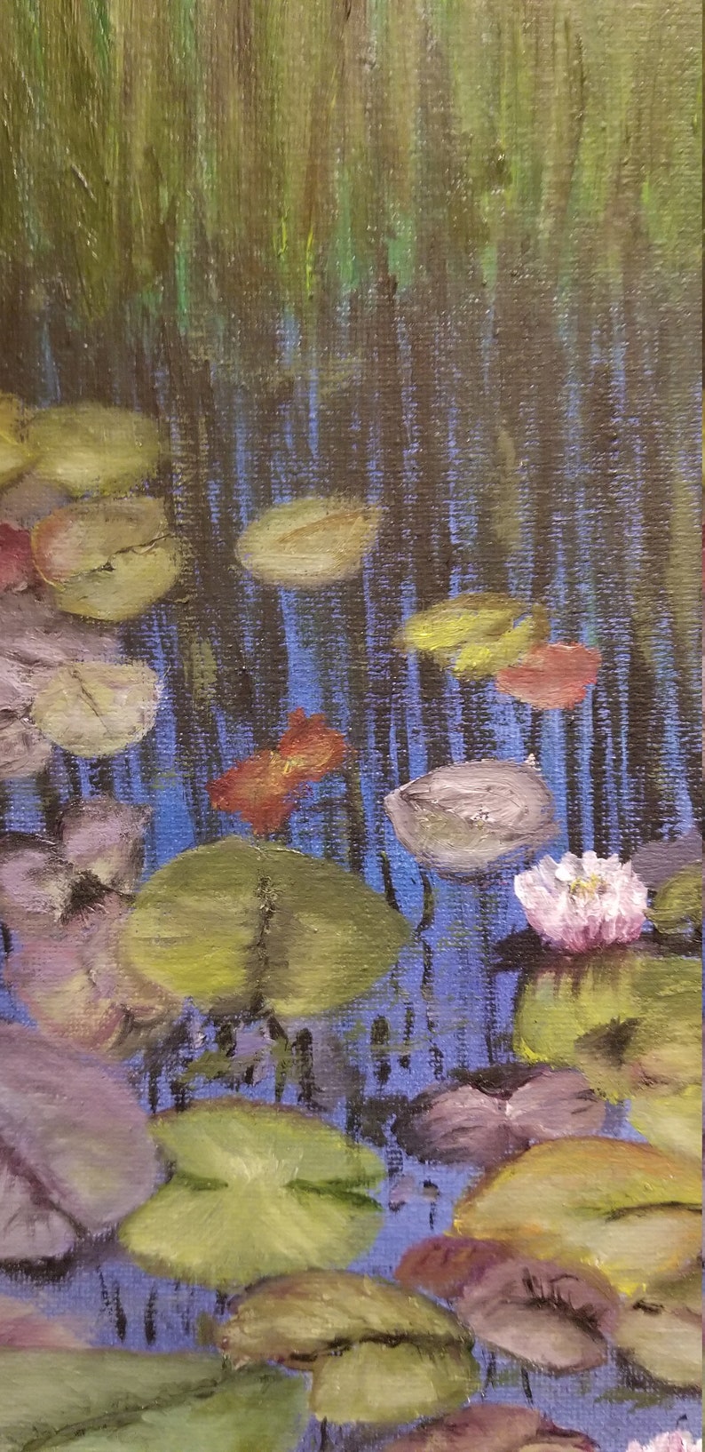 Water Lilies image 4