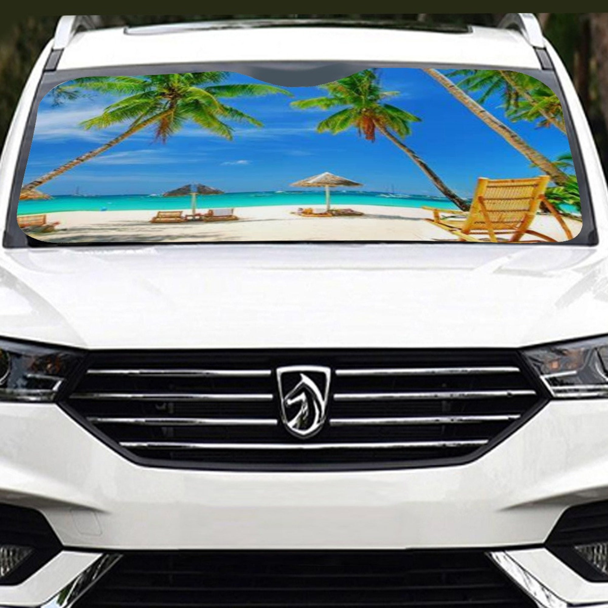 Discover Windshield Sunshade