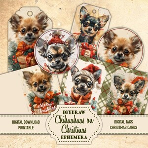 Chihuahua a Natale, Etichette di Natale, Biglietti di Natale, 20 pagine di carta, 13 pagine doppie, 4 pagine di etichette e biglietti, Biglietto di auguri di Natale