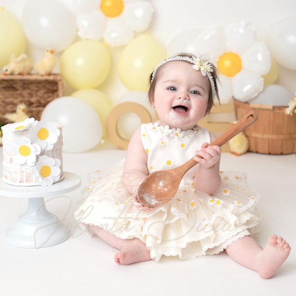 Daisy first birthday outfit, Daisy romper , Daisy theme dress for girl, Baby, toddler daisy dress