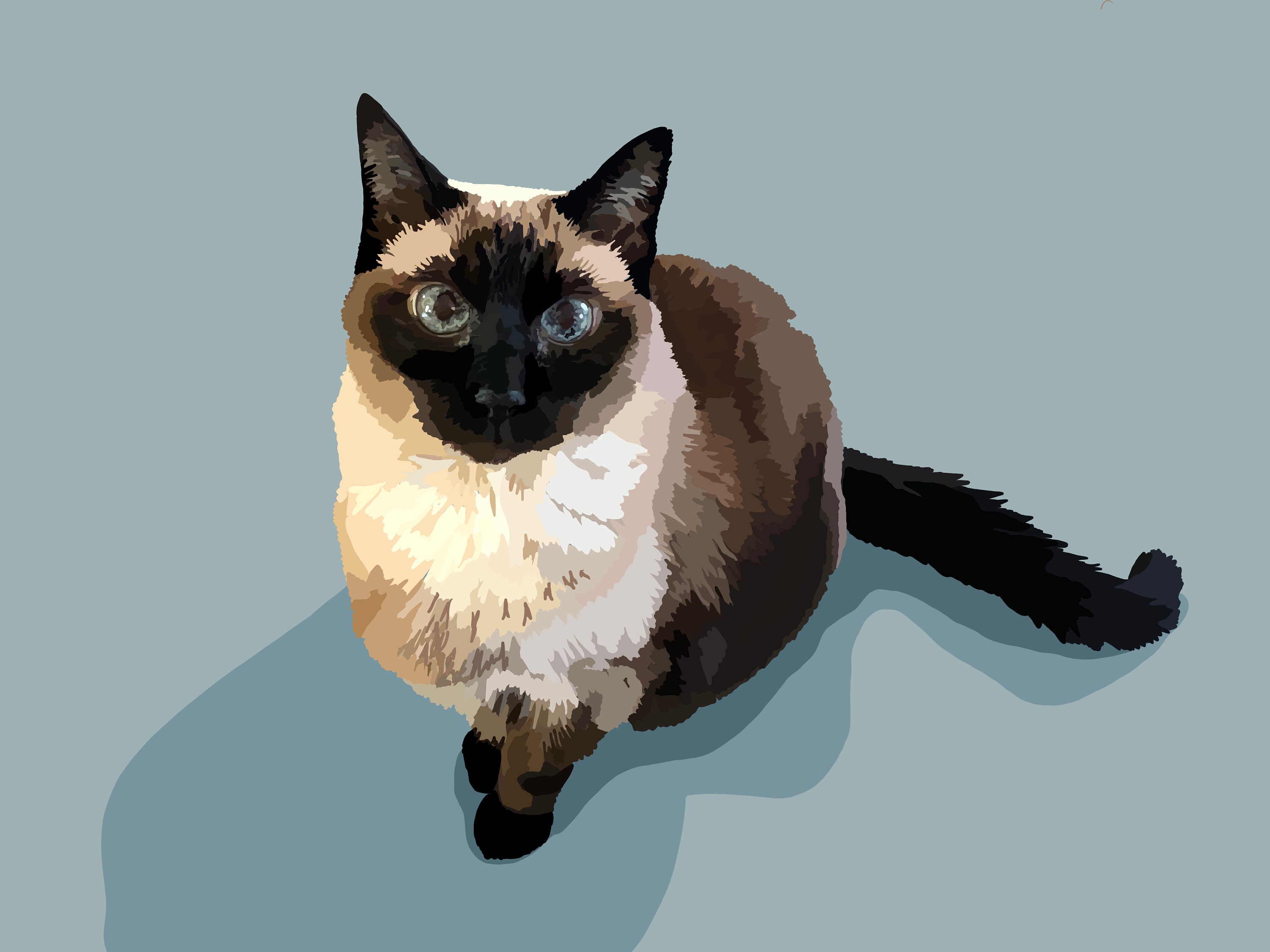 Custom Digital Pet Portrait Etsy
