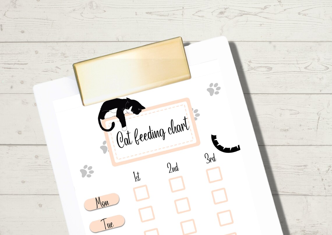 Printable Cat Feeding Chart Etsy