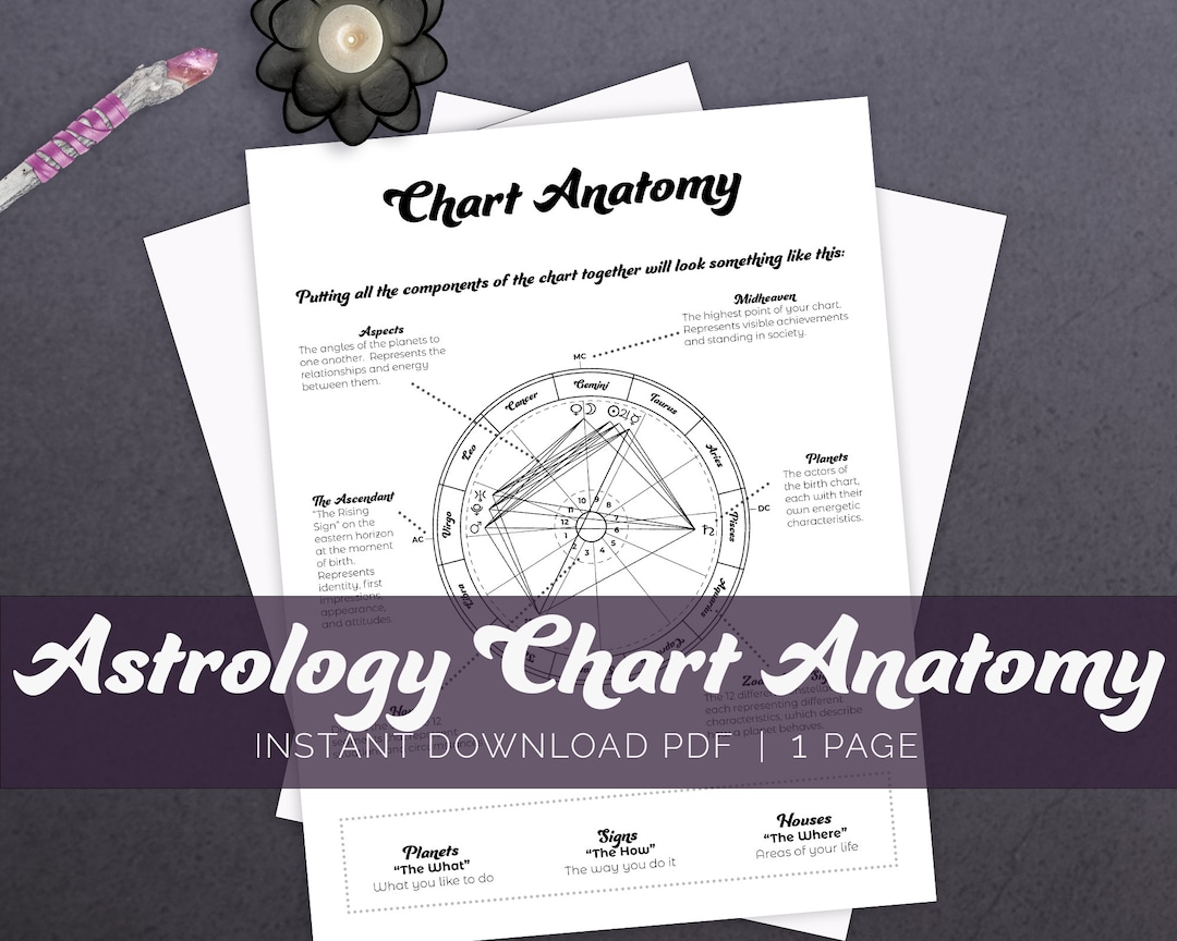 Astrology Chart Anatomy Astrology Basics Bundle, Beginner Astrology