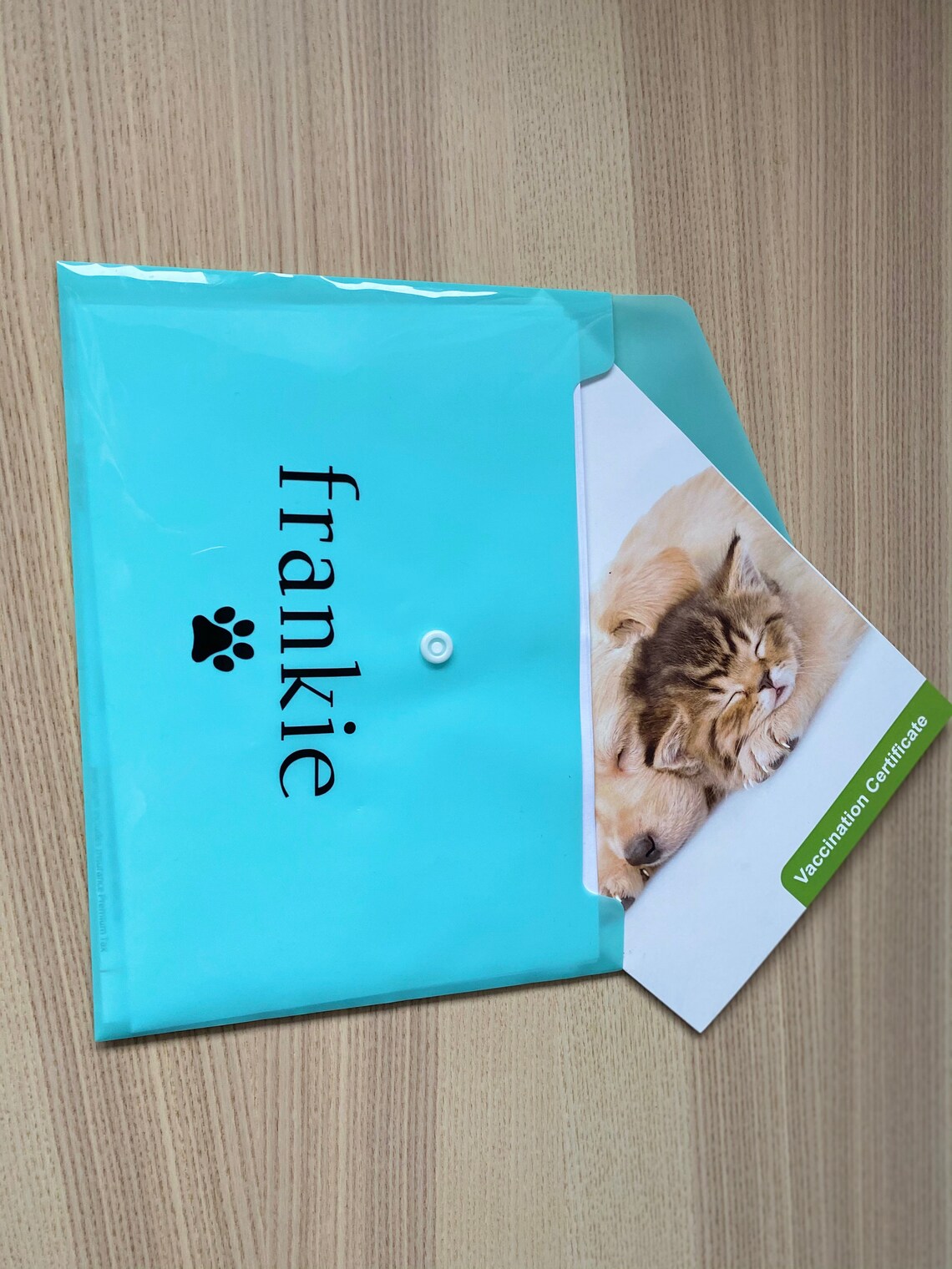 Personalised pet document file . Vet notes and documents file. Etsy