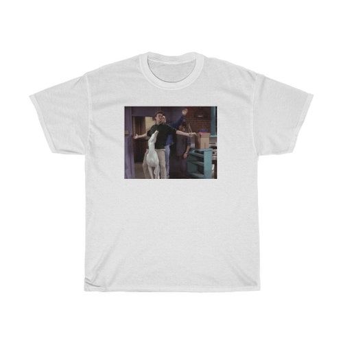 Friends T-shirt Joey Tribbiani Chandler 