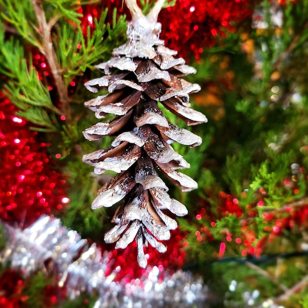 Pinecone Ornament Etsy