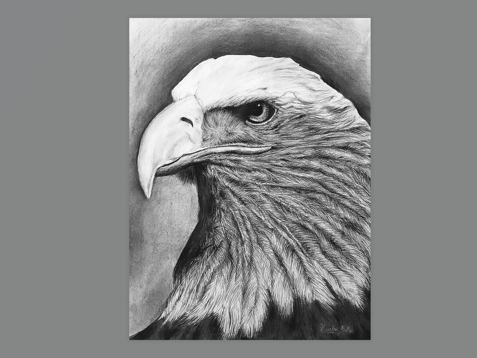 Bald Eagle Giclée Print Charcoal Drawing Print Bird Fine Art Etsy