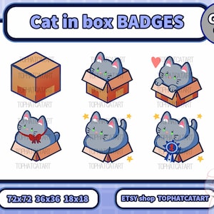 Grey Cat in box sub Badges for Twitch