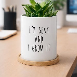 May include: A white cylindrical ceramic planter with a bamboo saucer base, containing a green succulent plant. The front of the planter features the black printed text "I'M SEXY AND I GROW IT" in a simple, sans-serif, all-caps typeface.