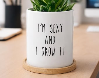Funny Plant Pot, Succulent Planter, Plant Lover Gift, Custom Birthday Present